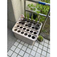 우산꽂이 논