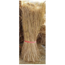 볏짚 500g