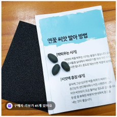 [내음농장] 연꽃씨앗 심기 KIT - 화분 발아용 연씨, 봄에 식재